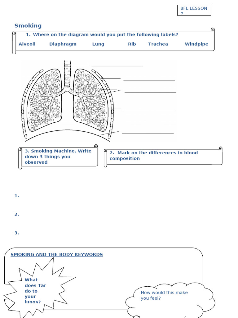 Smoking Student Sheet | PDF