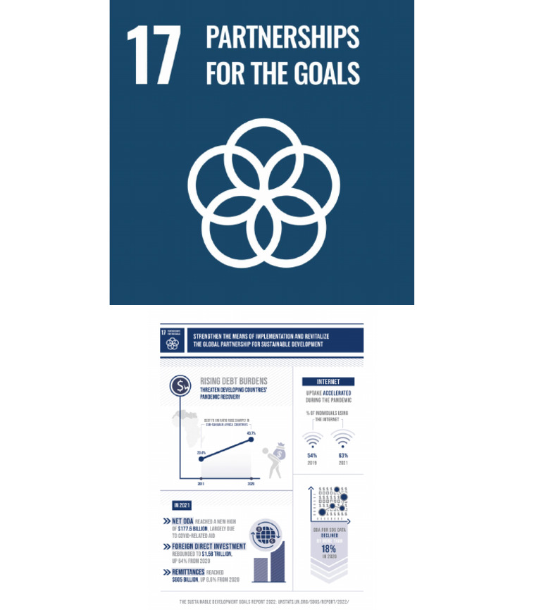 Sdg 17 Partnerships For The Goals Pdf