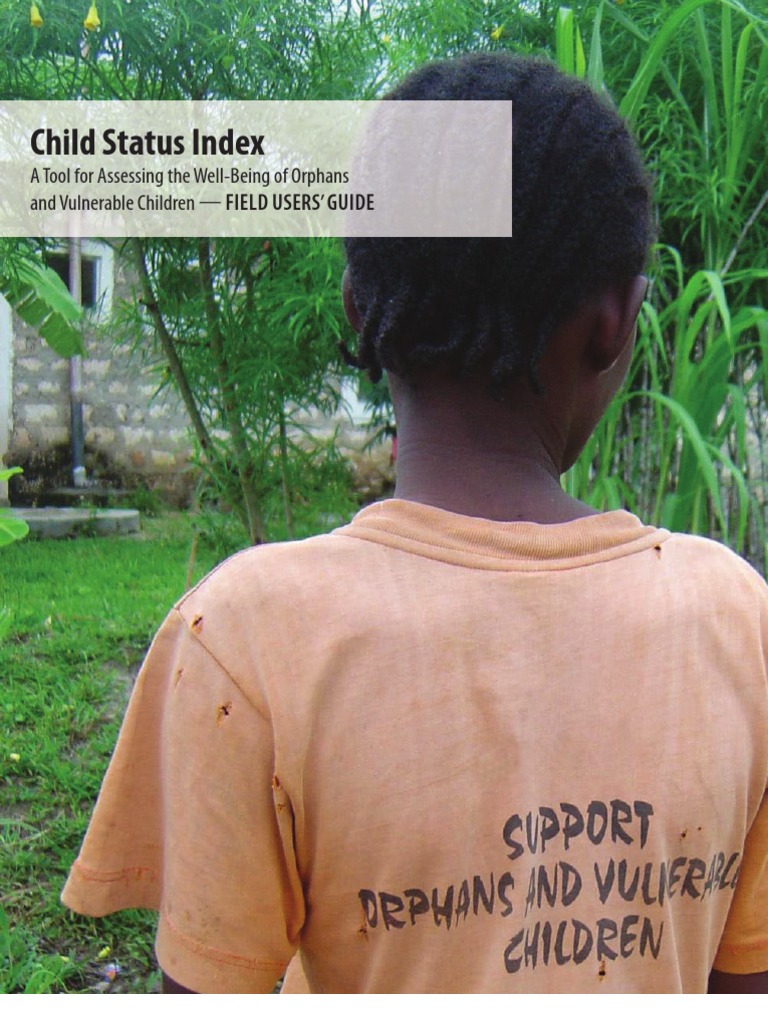 Child Status Index: Assessing Child Well-Being | PDF | Child Abuse ...