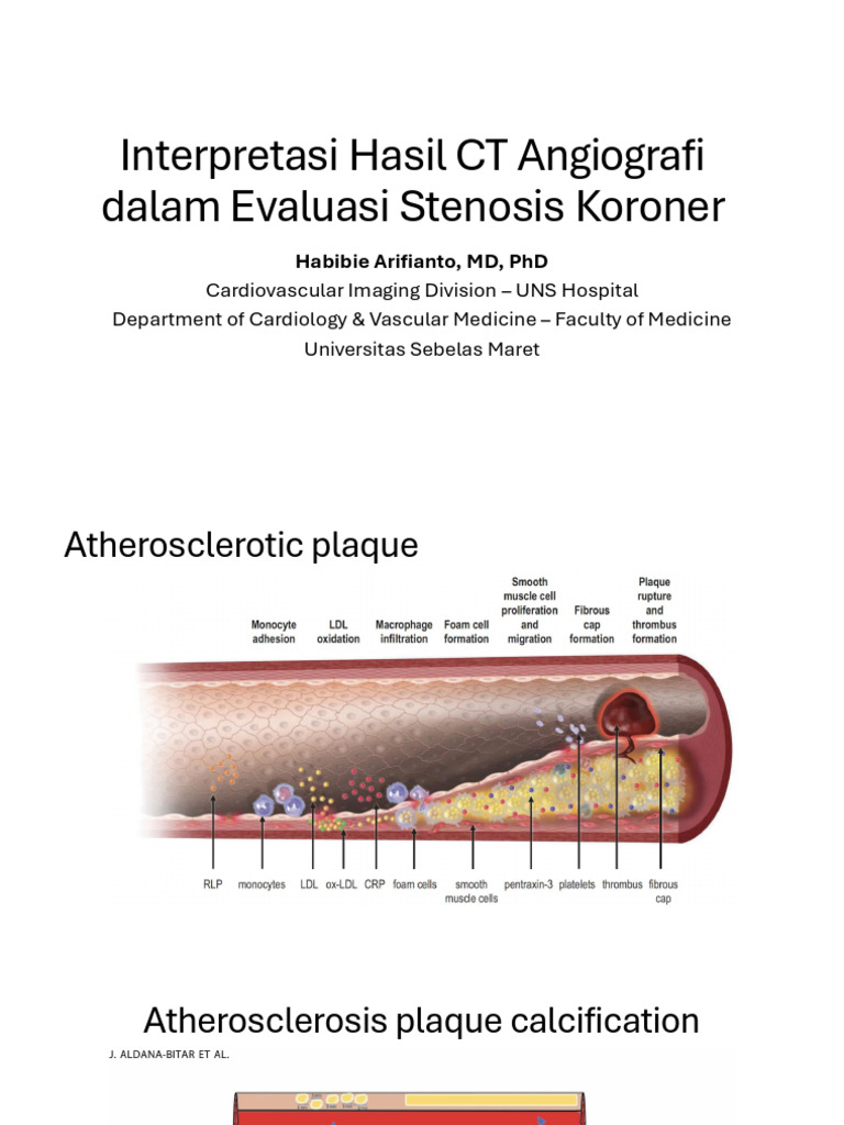 Interpretasi Ct Cardiac Pdf