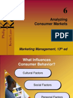 Analyzing Consumer Markets