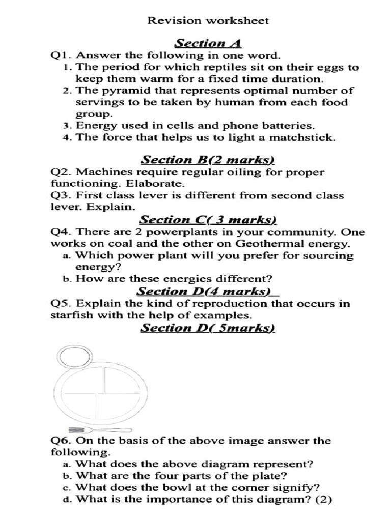 Science Revision Worksheet Answers | PDF