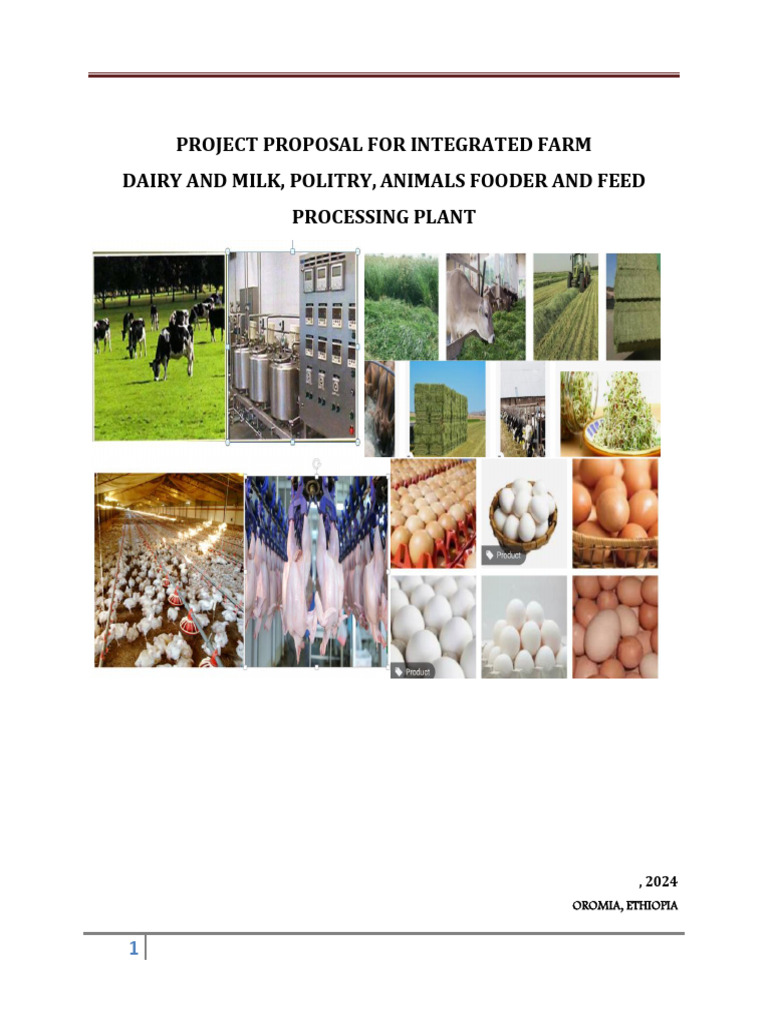 Integrated Dairy and Poultry Farming Proposal | PDF | Milk | Dairy