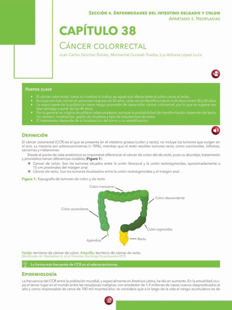 Cáncer Colorrectal | PDF