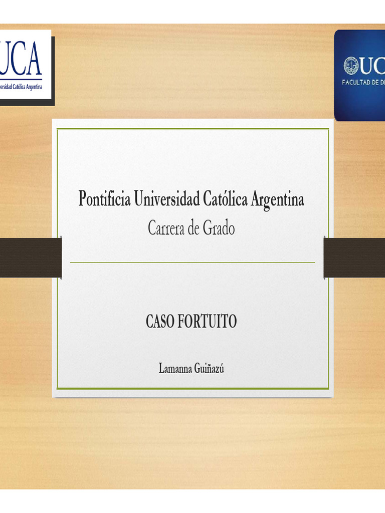 CASO FORTUITO (SÃ Lo Lectura) | PDF