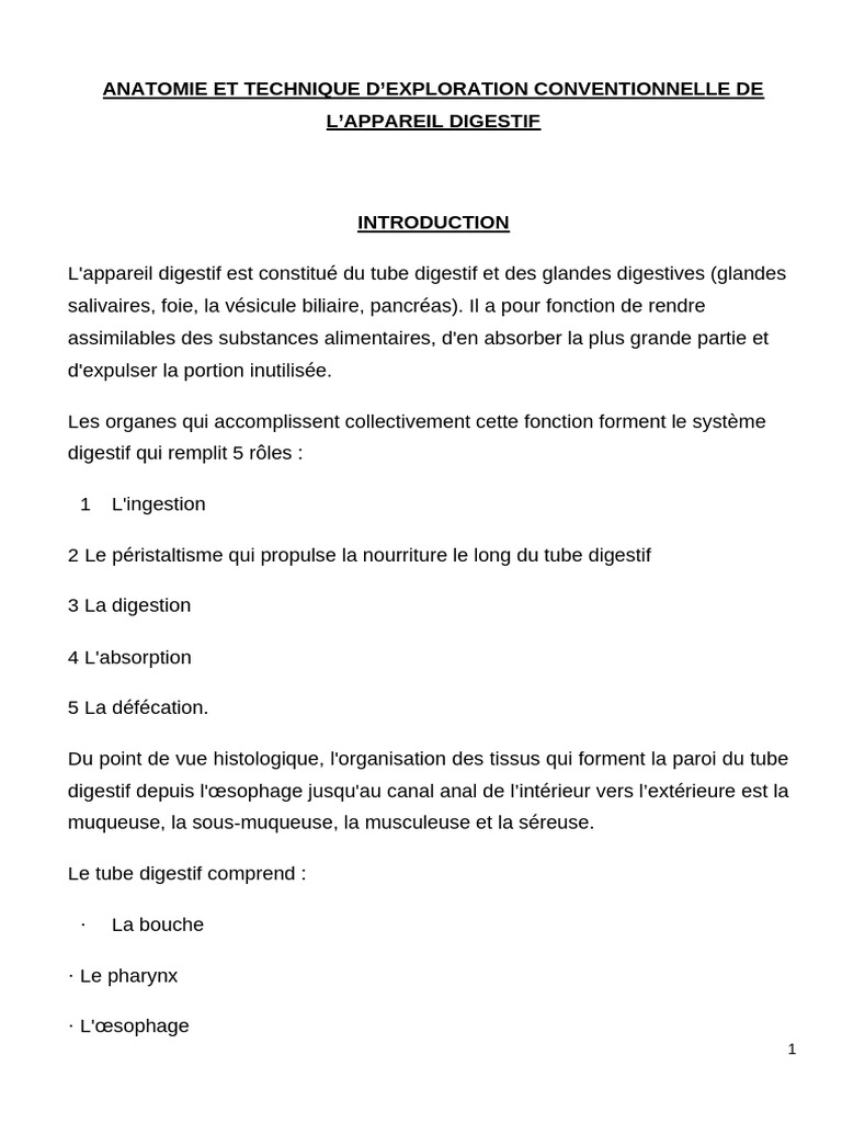 Cours Anatomie Digestive Tim 2 | PDF