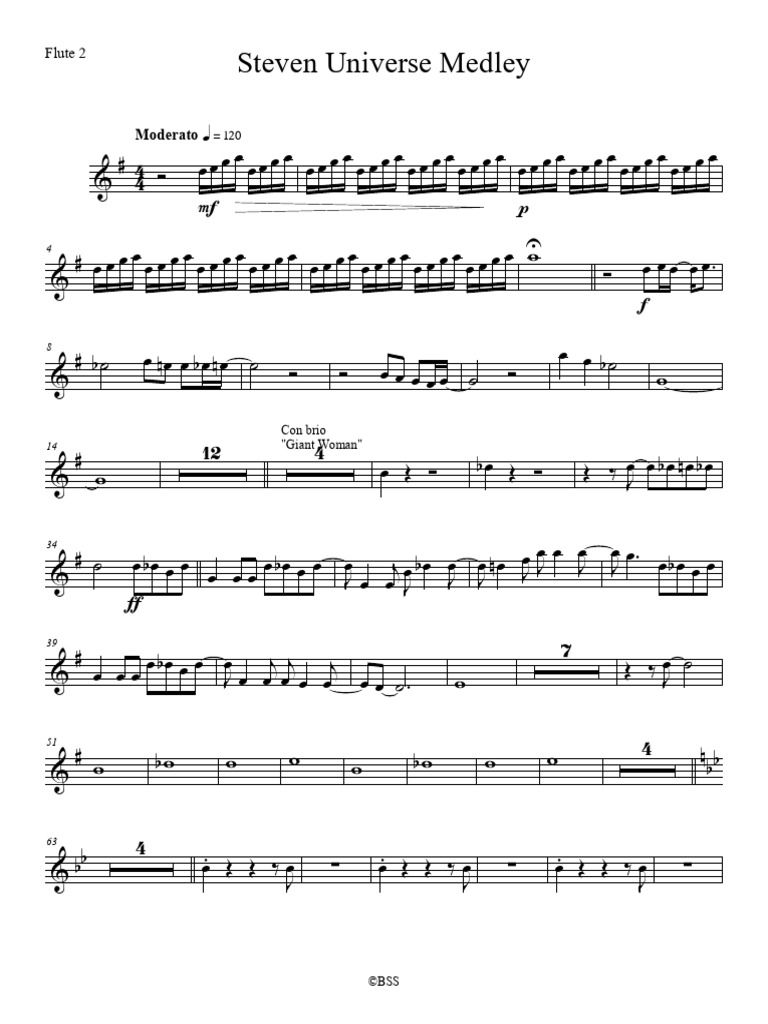 Steven Universe Medley 2.0 - Flute 2 | PDF