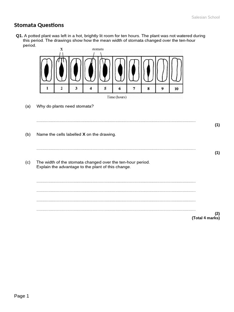 Stomata Questions 3 | PDF