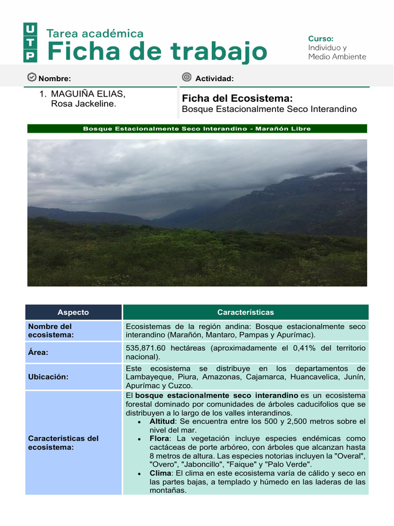 Ficha de Trabajo Medio Ambiente | PDF