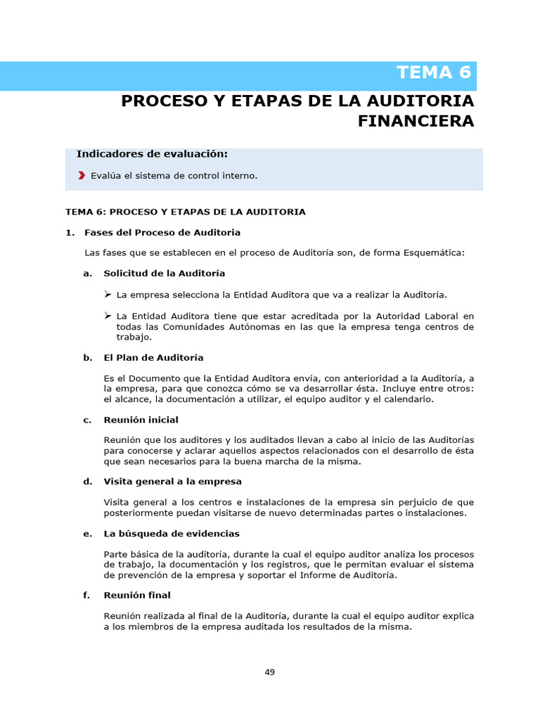 Clase 6 y 7 Proceso y Etapas de La Auditoria | PDF | Auditoría | Tecnología