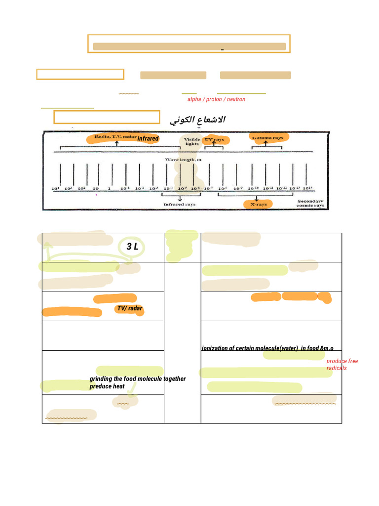 Lec 10 Meat Compressed Pdf