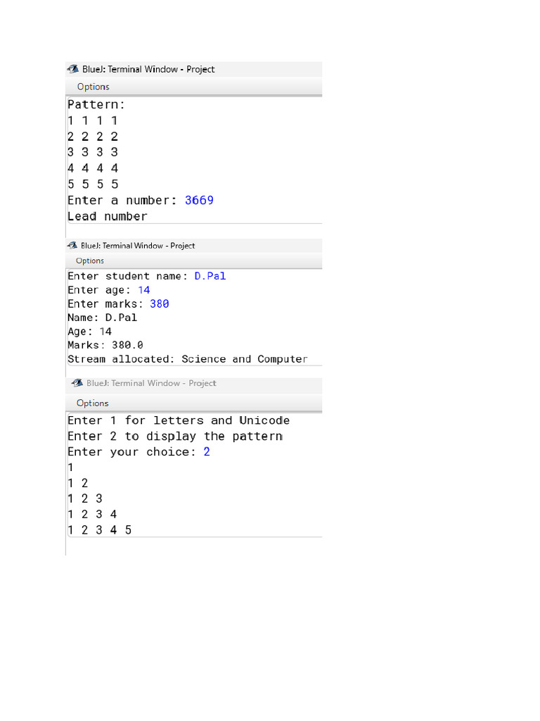 Computer Project | PDF