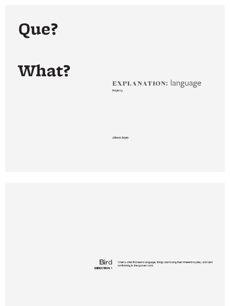 Que? What?: Explanation: Language | PDF | Language Arts & Discipline