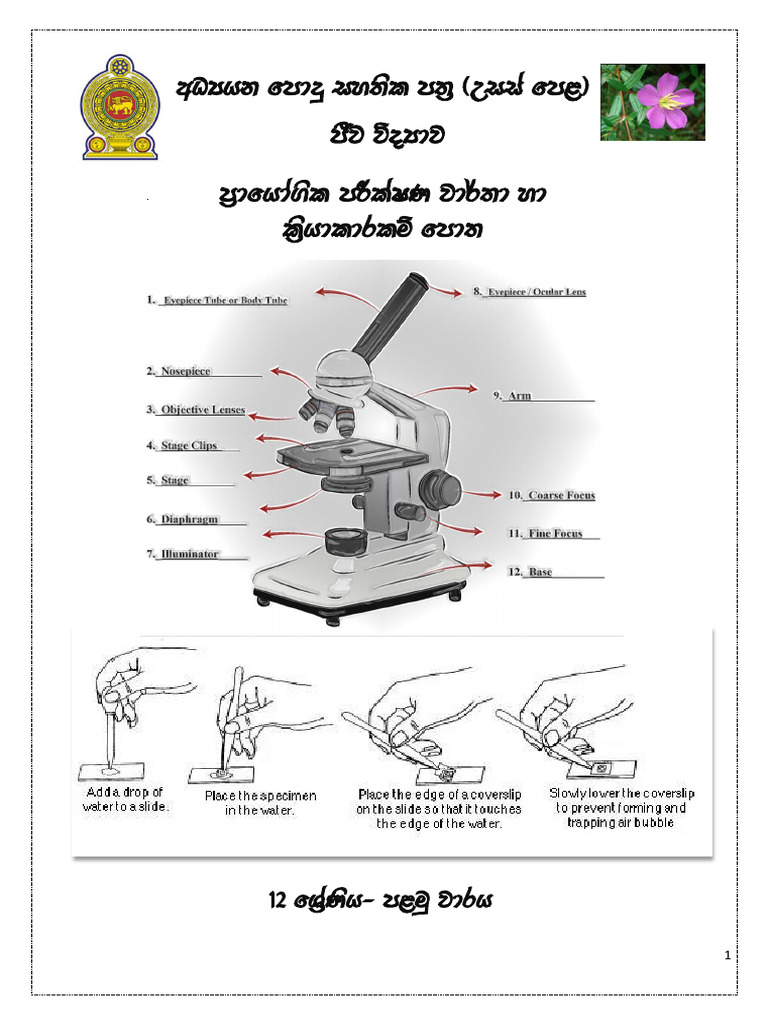 Bio Practiacal Final | PDF