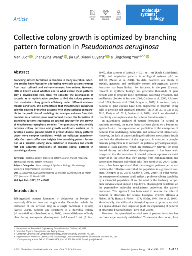 Collective Colony Growth Is Optimized by Branching Pattern Formation in ...
