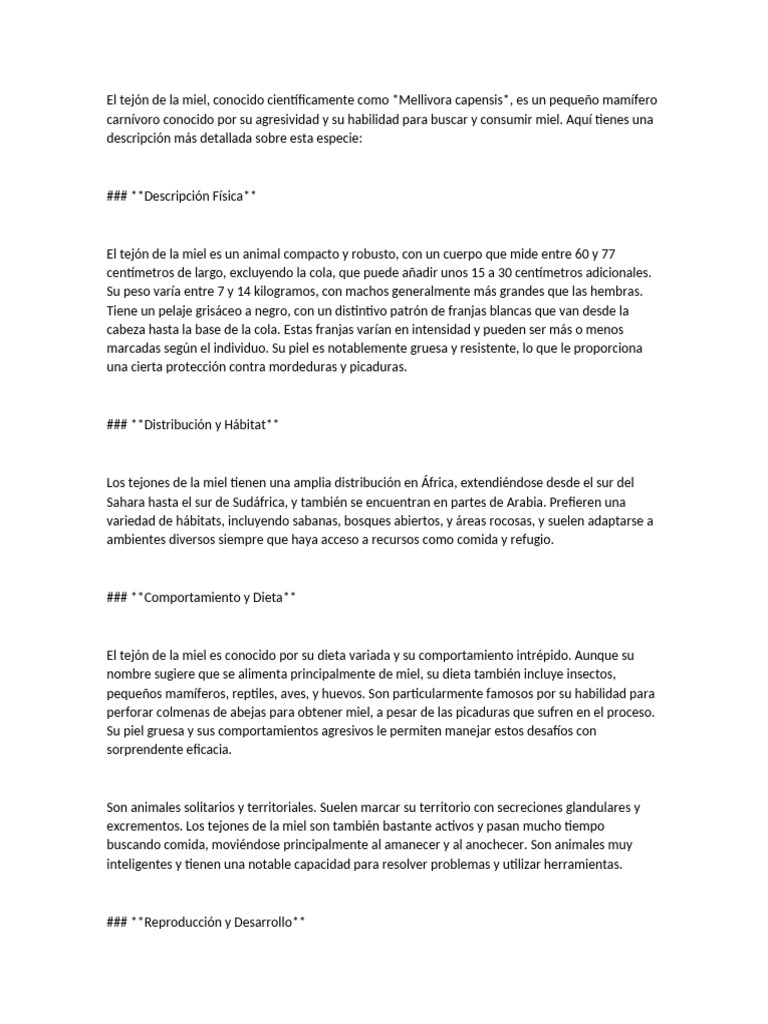 El Tejón de La Miel | PDF, image size:768x1024