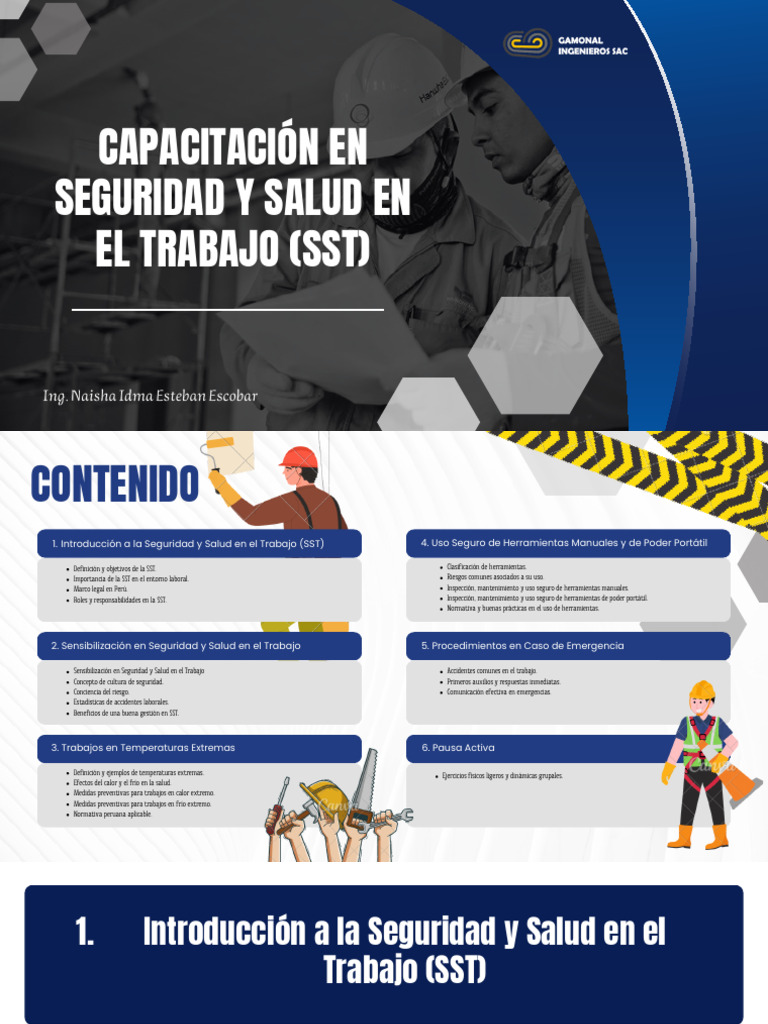 Seguridad y Salud en El Trabajo - T2 | PDF | Seguridad y salud ...