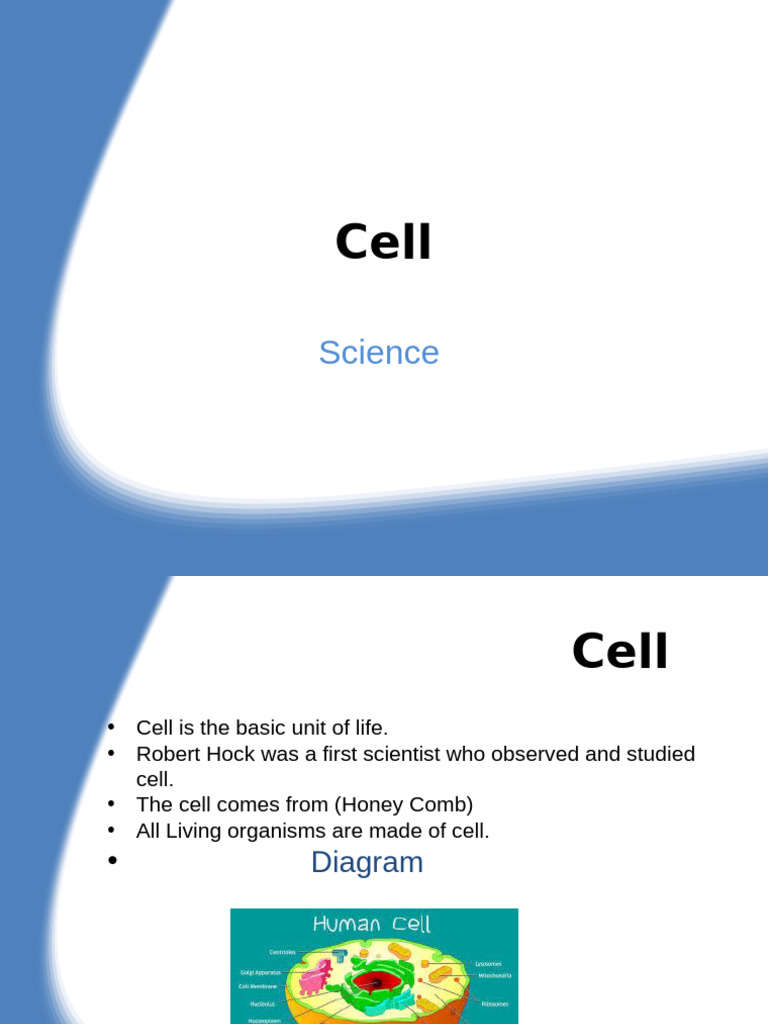 Overview of Animal Cell Structure | PDF | Science & Mathematics