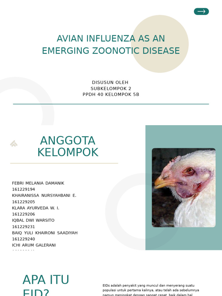 Eid Avian Influenza | PDF
