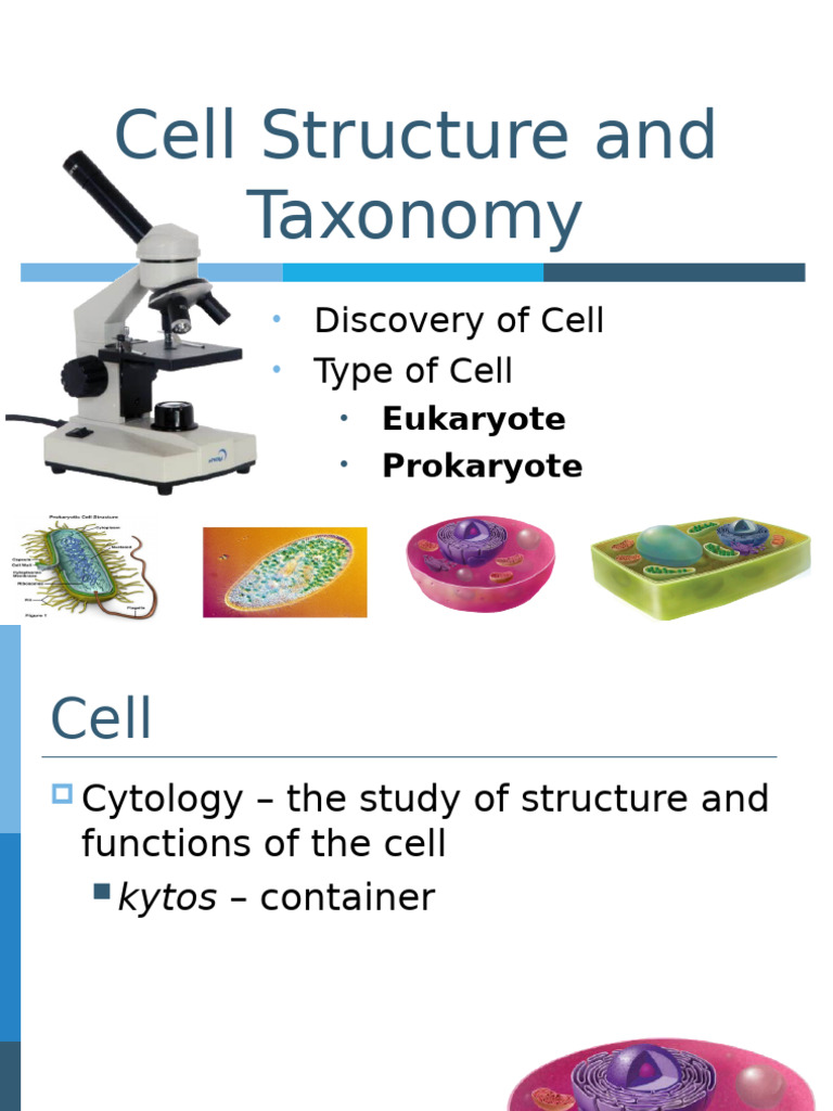 Cell Structure | PDF