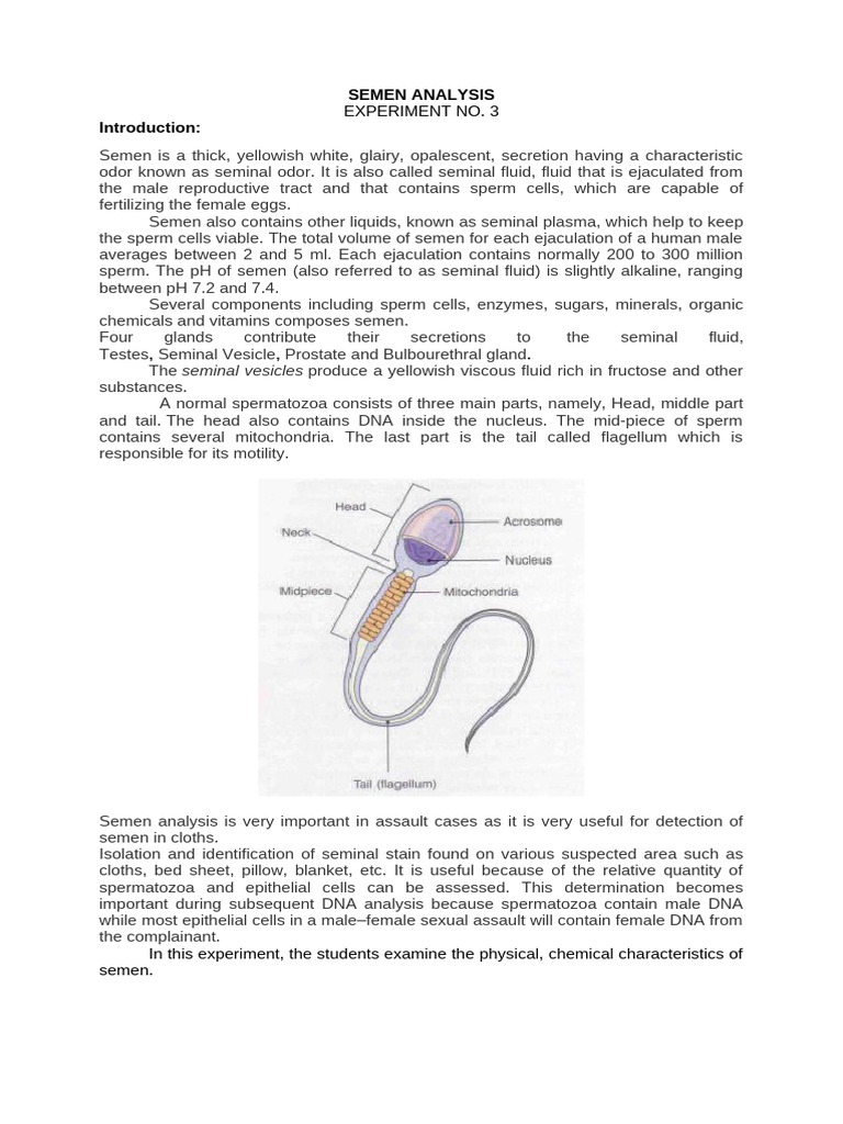 Semen Analysis | PDF