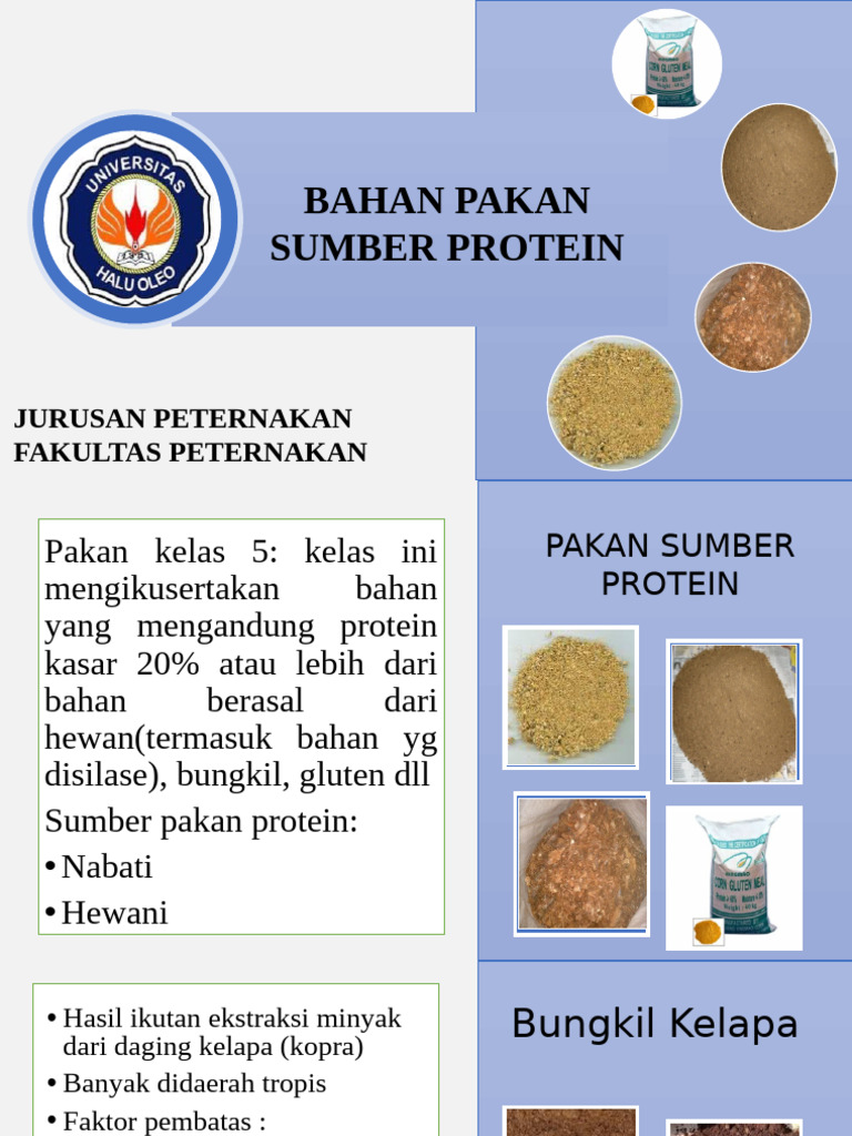 Kelompk V Bahan Pakan Sumber Protein Pdf