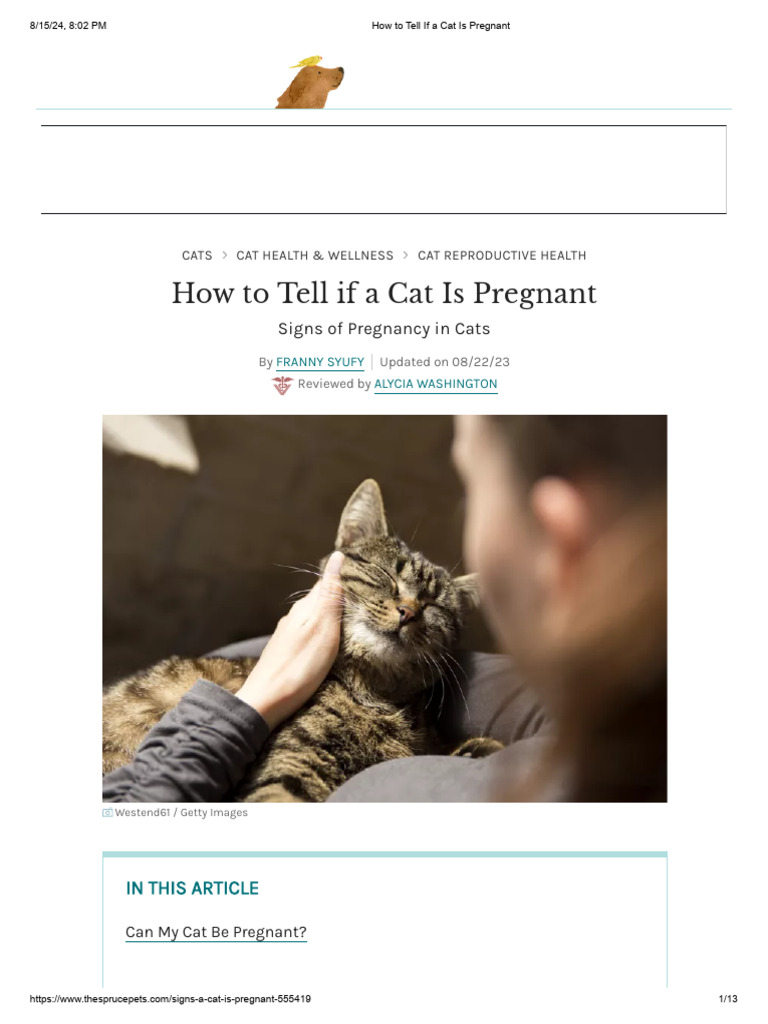 Fresh Look at How To Tell If A Cat Is Pregnant Pdf Pregnancy