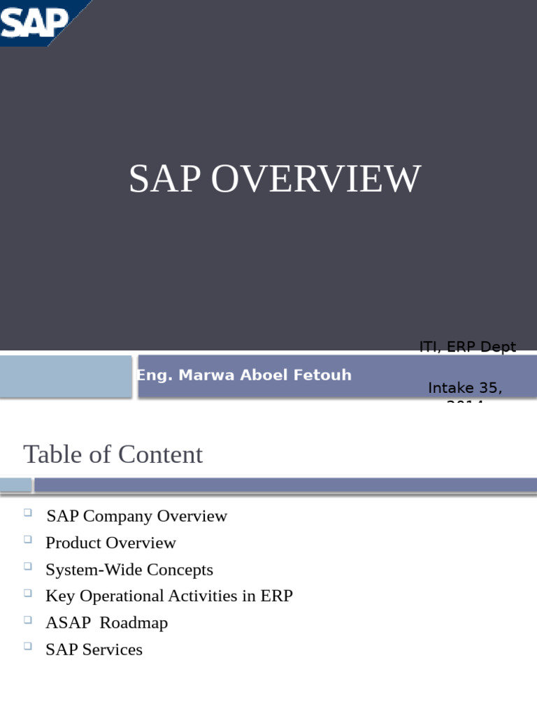 SAP Overview - Intake35 | PDF