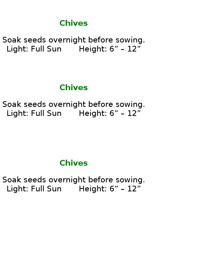 Growing Chives: Care & Tips | PDF | Religion & Spirituality