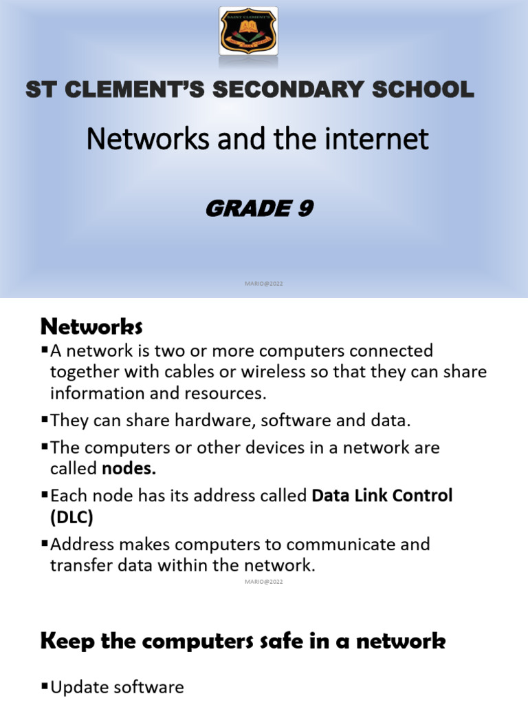 Grade 9 Networks and The Internet-1 | PDF