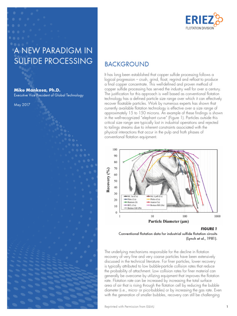 EFD-A NEW PARADIGM IN SULFIDE PROCESSING - White Paper - 17 UPDATED | PDF