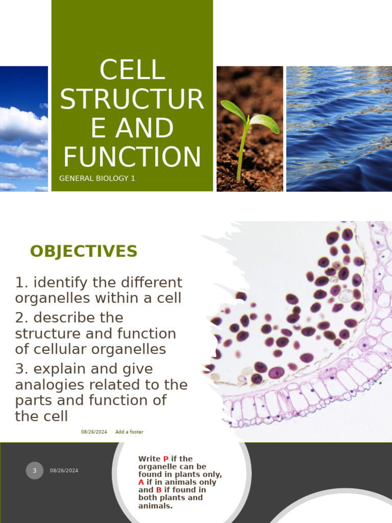 Cell Structure and Function m2 | PDF