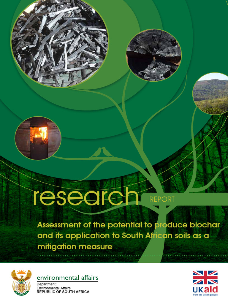 Biochar Production Potential in South Africa | PDF | Climate Change ...