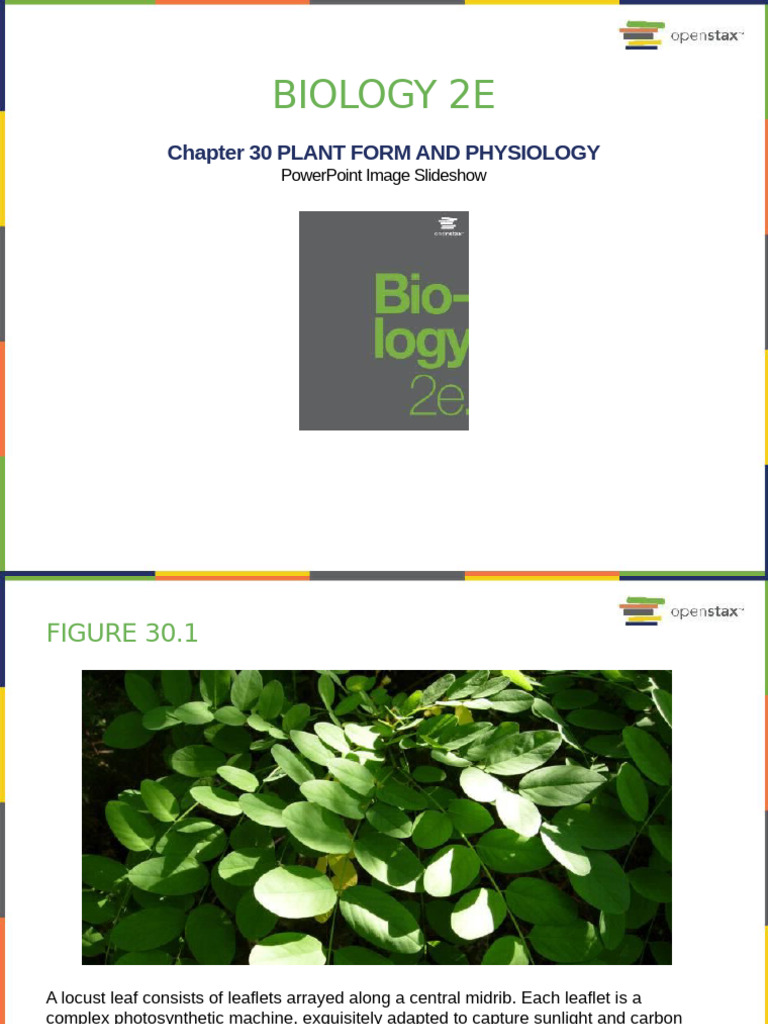 Biology2e Chapter30 | PDF