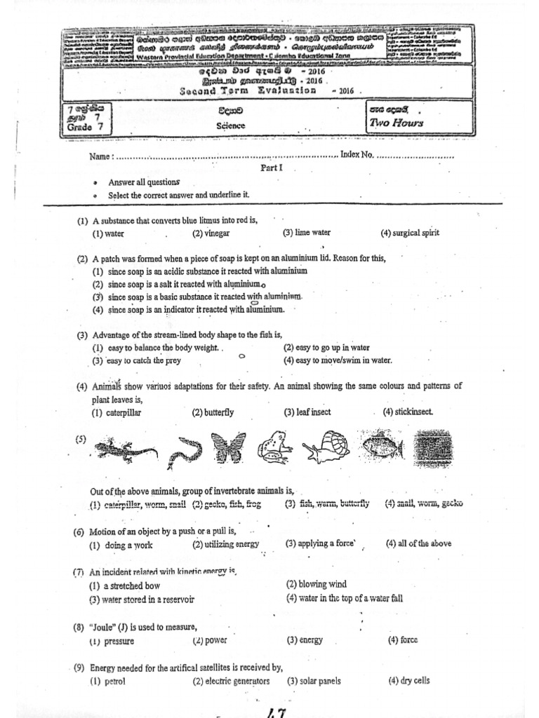 Grade 7 - Science - 2 ND Term - Western Province - 2016 - English ...