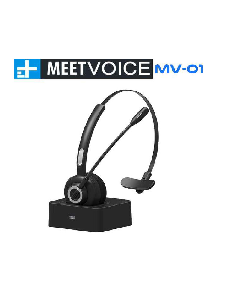MeetVoice MV 01 Datasheet | PDF