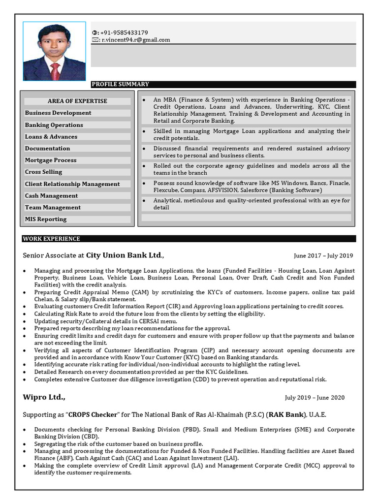 vincent-cv-pdf