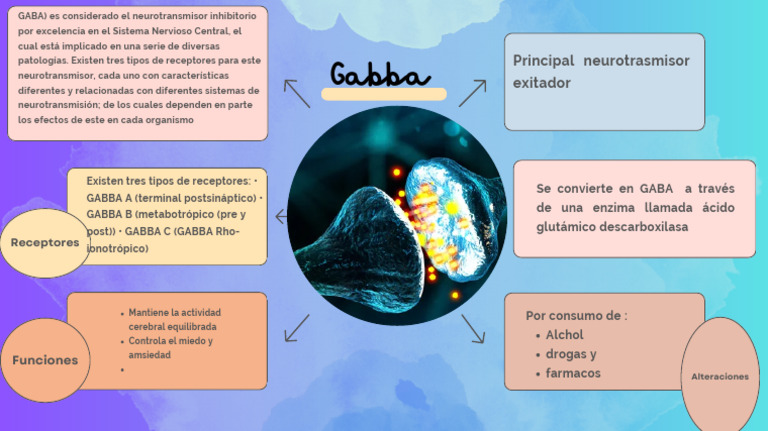 Mapa Mental GABBA | PDF