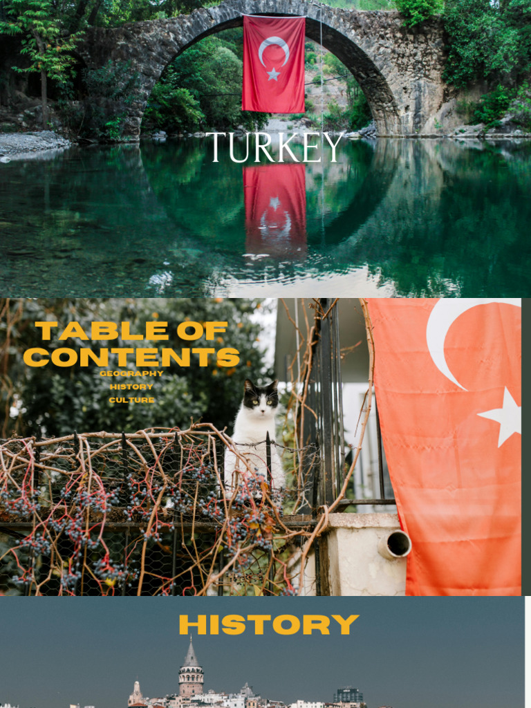 Sub CreateTurkeyCanvasPresentation - Presentation | PDF