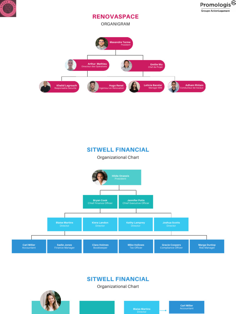 Organizational Chart Visual Charts Presentation in Blue White Teal ...