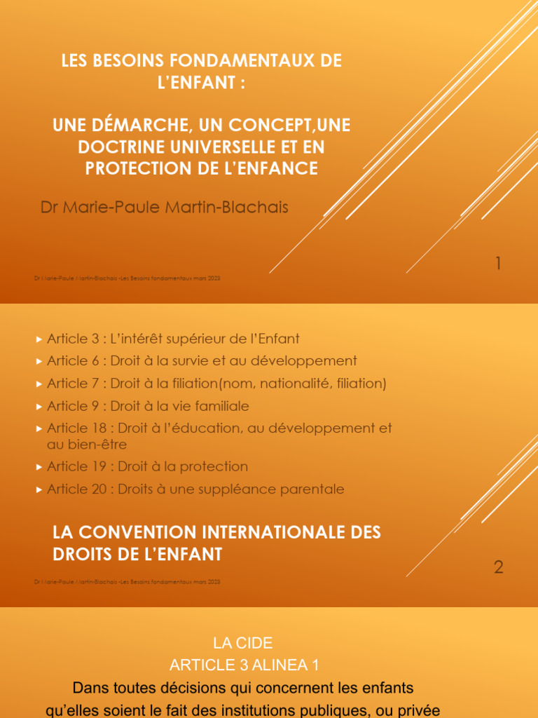 Presentation Les Besoins Fondamentaux DR Martin Blachais | PDF