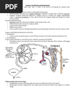 Notes For Homeostasis