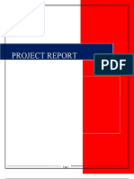 Project Report on Final)