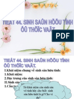 Bai 42sinh San Huu Tinh o Thuc Vat