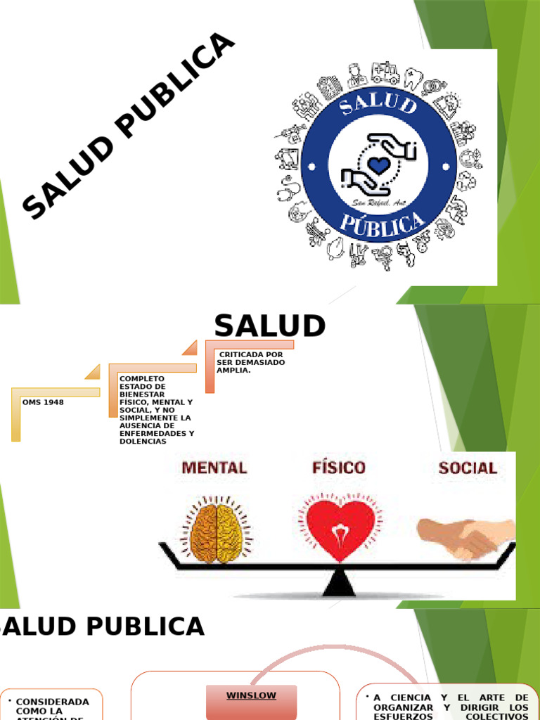 Salud Publica 1 Pdf