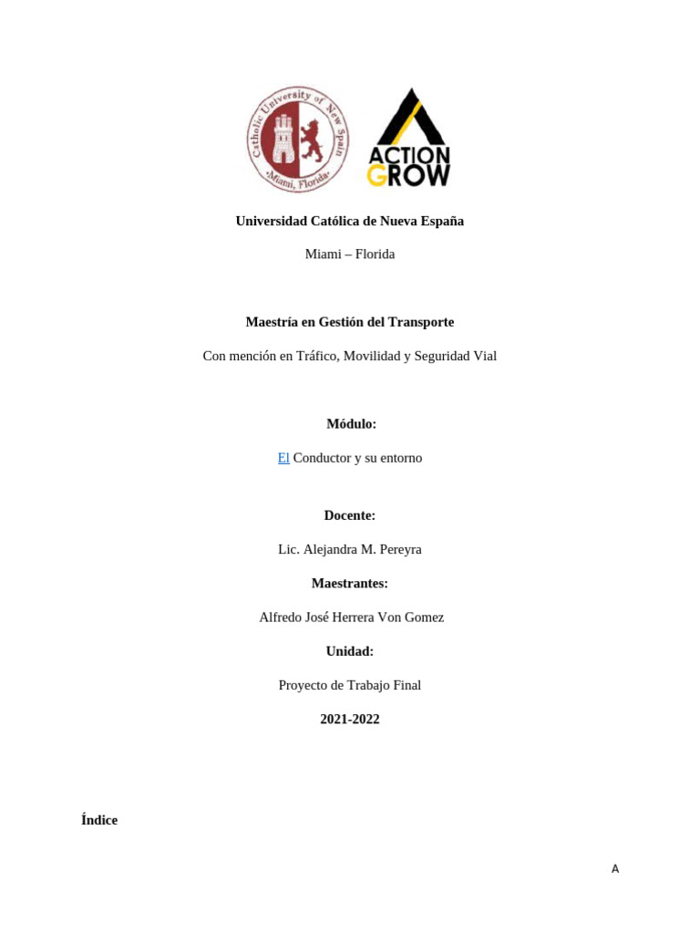 Proyecto Final | PDF