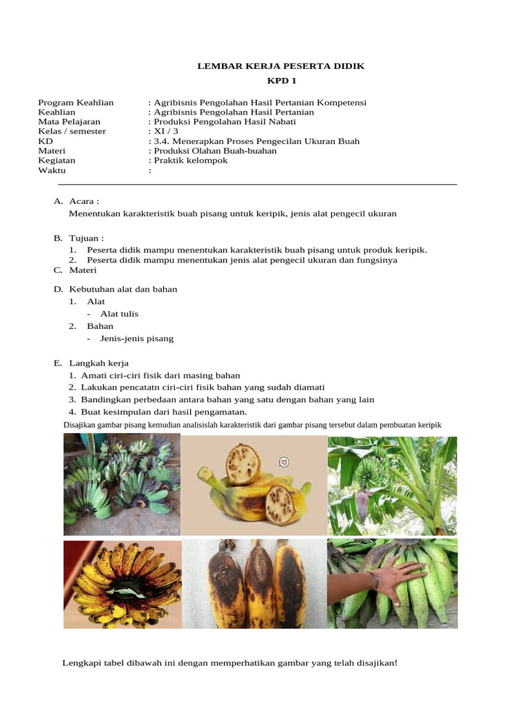 LKPD Aphp | PDF
