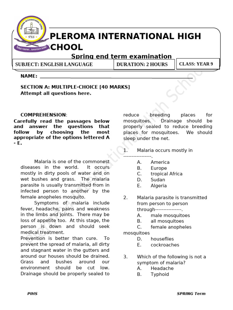 Year 2 English Questions