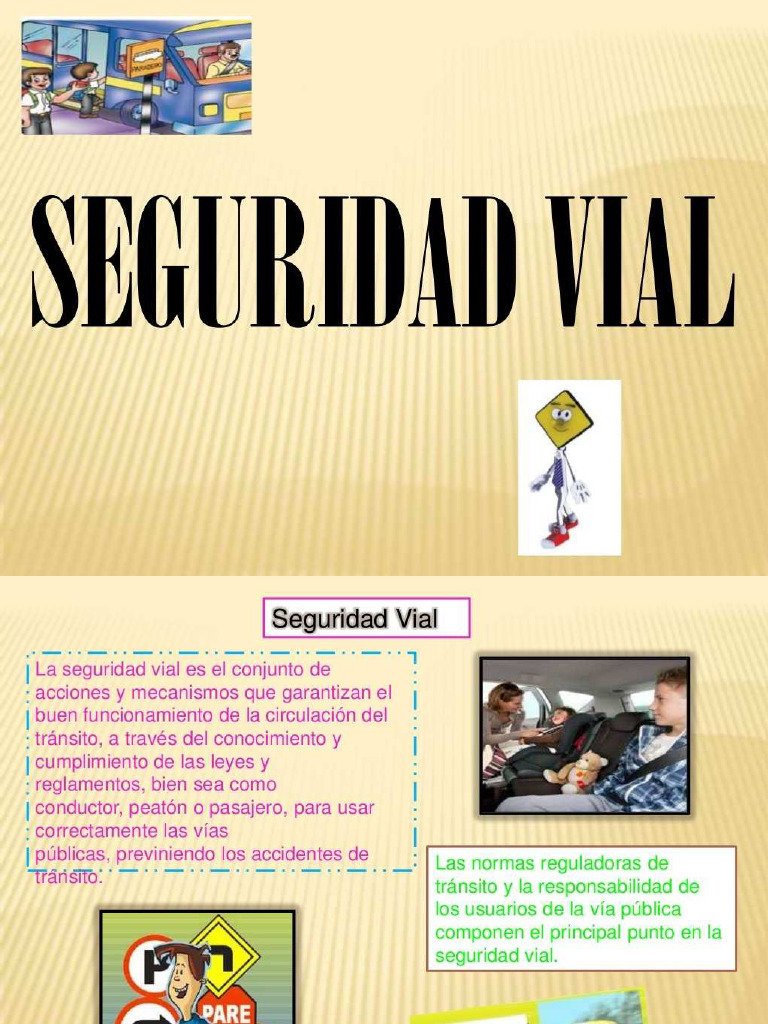 Seguridad Vial Pdf