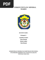 Download Makalah IGD Mineral Makro by yuyu_hunters SN76296956 doc pdf